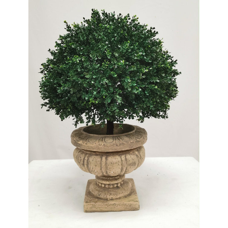 Primrue Faux Boxwood Topiary Wayfair